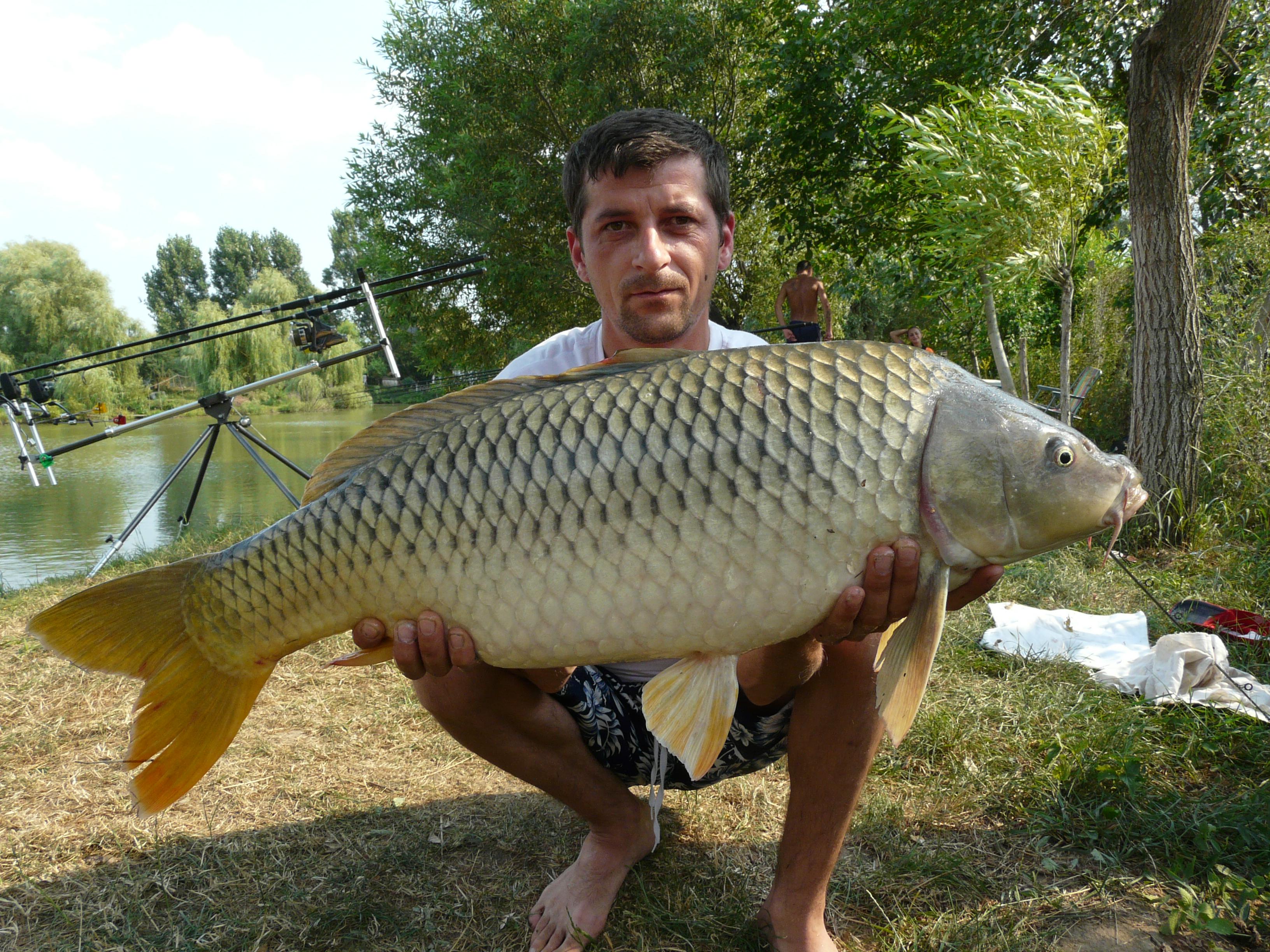 Capturi 2012 - P1070897.JPG